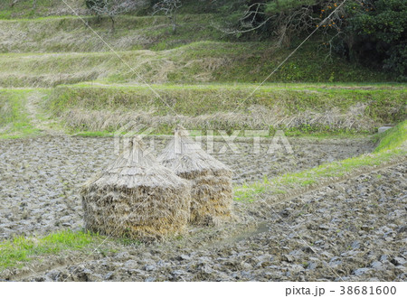 稲塚 稲塚 38681600