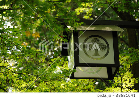 大多喜城　街灯　本多忠勝　家紋　立葵 38681641