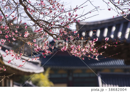 通度寺 梁山市 韓国 38682004