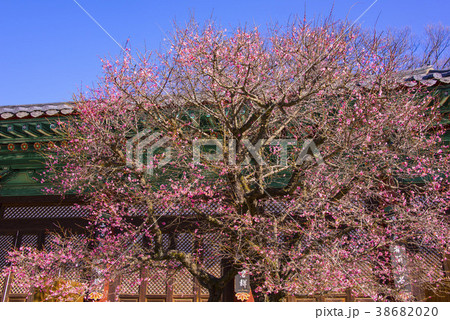 通度寺 梁山市 慶南 38682020
