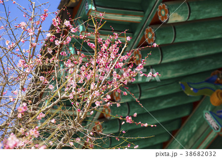 通度寺 梁山市 韓国 38682032