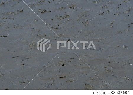 スローシティ 海 自然 38682604