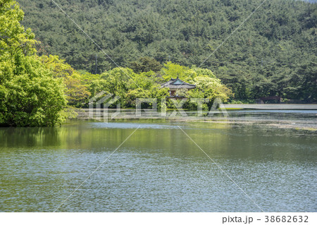 山 密陽市 池 38682632