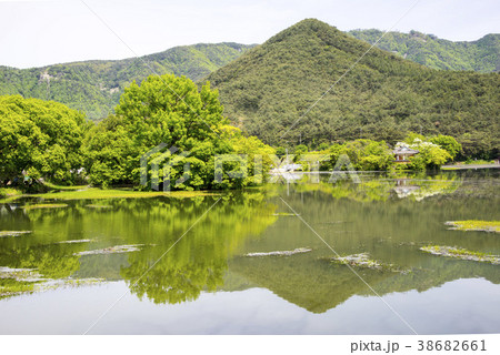 自然 風景 池 38682661