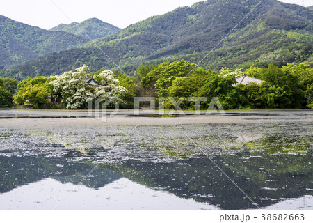 自然 風景 池 38682663