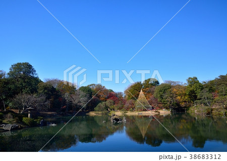 秋の六義園 38683312