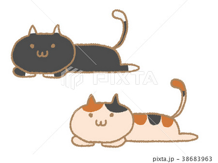 横になる靴下猫と三毛猫のイラストのイラスト素材