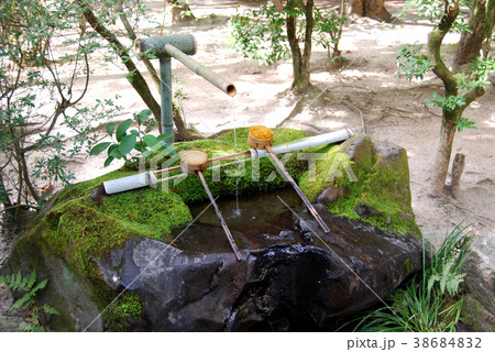 唐招提寺の手水舎 唐招提寺の手水舎 38684832