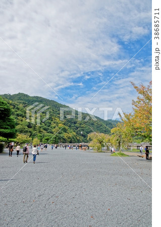 嵐山公園　中之島地区 38685711