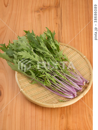 紅みずな 紅みずな 38686089