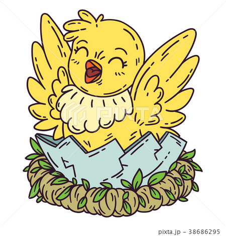 Chicken hatches from the egg. 38686295