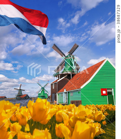 Dutch windmills with tulips in Amsterdam, Holland 38687329
