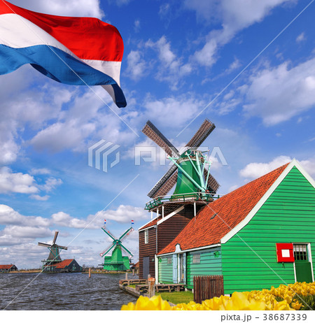 Dutch windmills with tulips in Amsterdam, Holland 38687339