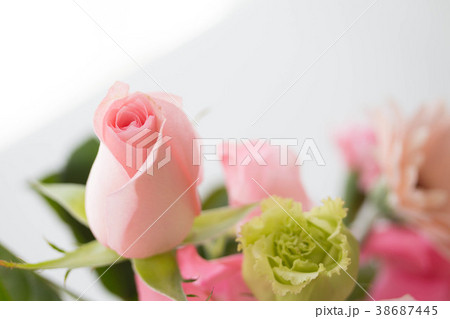 柔らかなピンク色 38687445