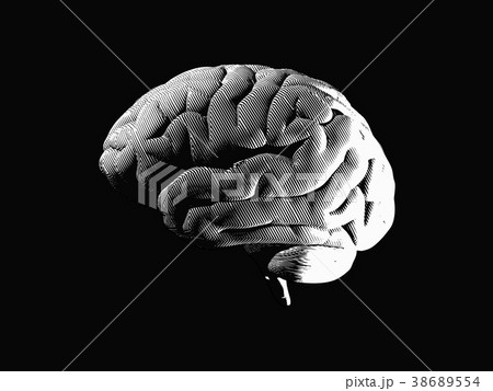Monochrome drawing brain in darkness Monochrome drawing brain in darkness 38689554