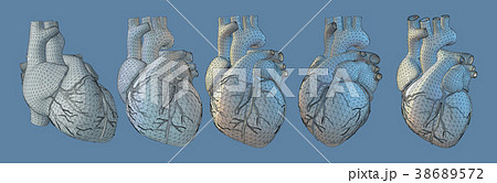 3D human heart illustration in various view 3D human heart illustration in various view 38689572