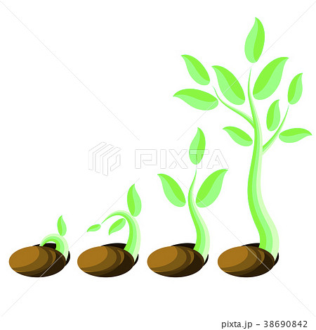 Plant Growth. Little Green Sprout Plant Growth. Little Green Sprout 38690842