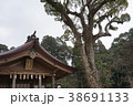 宝満宮竈門神社 38691133