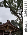 宝満宮竈門神社 38691134