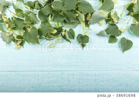 linden color on a wooden background. 38691698