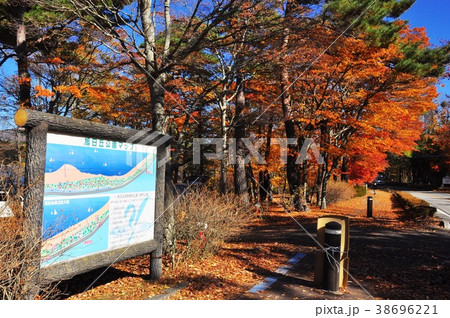 山中湖旭日丘公園案内版と紅葉 38696221