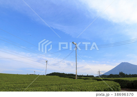 絶景風景（静岡県、富士山、夏） 38696370