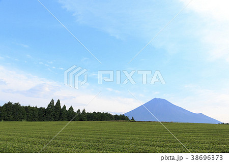 絶景風景 静岡県 富士山 夏 の写真素材