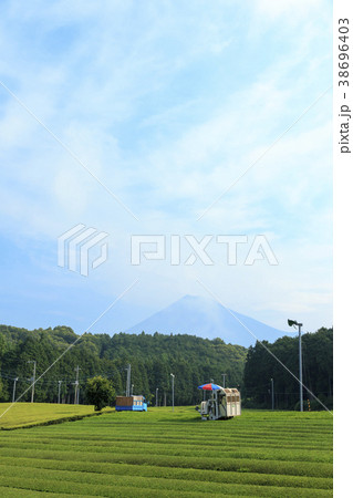 絶景風景(静岡県、富士山、夏) 絶景風景(静岡県、富士山、夏) 38696403