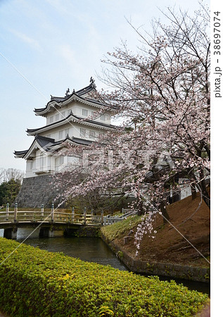 忍城と桜 38697074