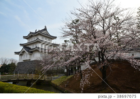 忍城と桜 38697075