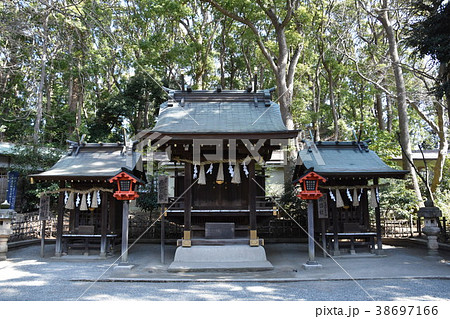 平塚市神社　平塚八幡宮 38697166