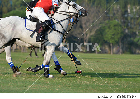 polo players are competing in the field polo players are competing in the field 38698897
