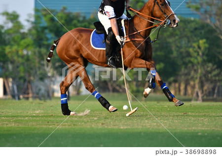 Horse polo player use a mallet hit ball 38698898
