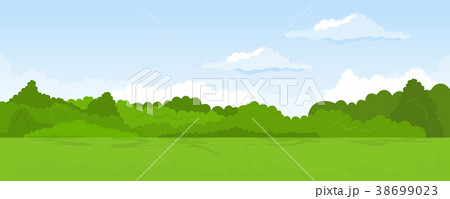 Rural summer landscape 38699023
