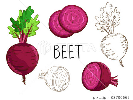 Beet isolated on white background Beet isolated on white background 38700665