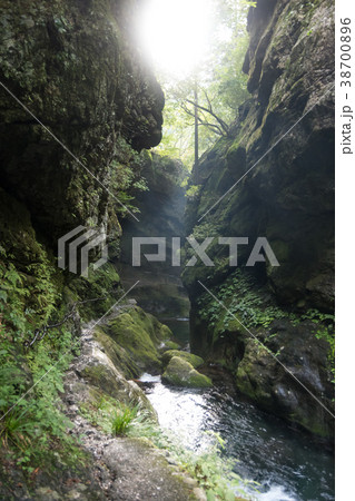 光差す渓谷 38700896