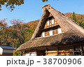 紅葉と五箇山・菅沼の合掌造り住宅 38700906