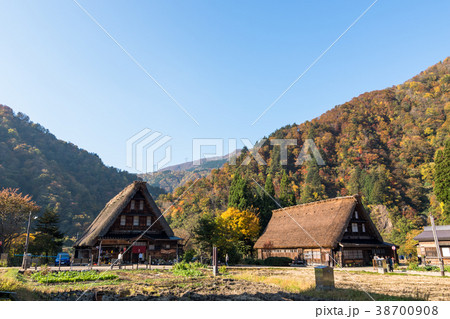 秋晴れの五箇山・菅沼の合掌造り集落と紅葉 秋晴れの五箇山・菅沼の合掌造り集落と紅葉 38700908