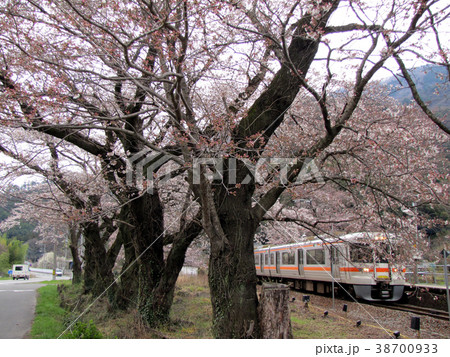JR身延線・塩之沢駅の桜 JR身延線・塩之沢駅の桜 38700933