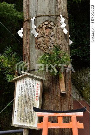 篠栗　南蔵院の木の彫られた風神 38701622