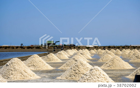 salt stack 38702002