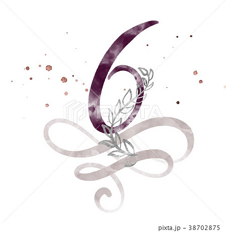 Calligraphic number six 6 vintage isolated on 38702875