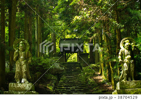 仁王像　新緑　両子寺 38704529