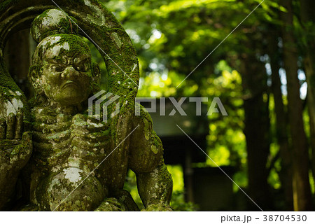 仁王像　新緑　両子寺 38704530