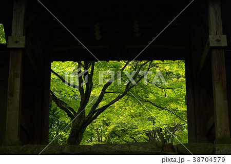 新緑 両子寺 フレーム構図 山門 新緑 両子寺 フレーム構図 山門 38704579