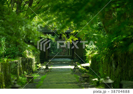 新緑　山門　両子寺 38704688