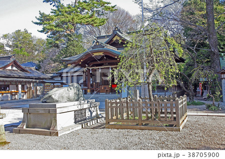 布多天神社 布多天神社 38705900