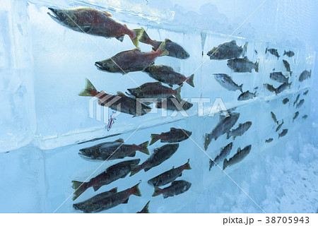 支笏湖氷濤まつり 38705943