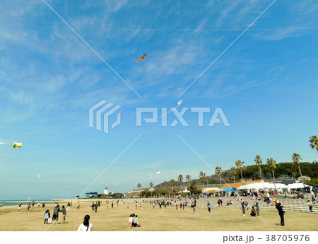 凧揚げフェスティバルに参加した人達 凧揚げフェスティバルに参加した人達 38705976