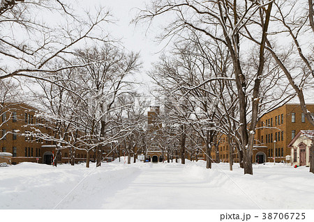雪景色の北海道大学 農学部の写真素材